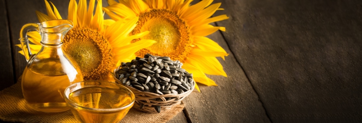 sunflower_slide